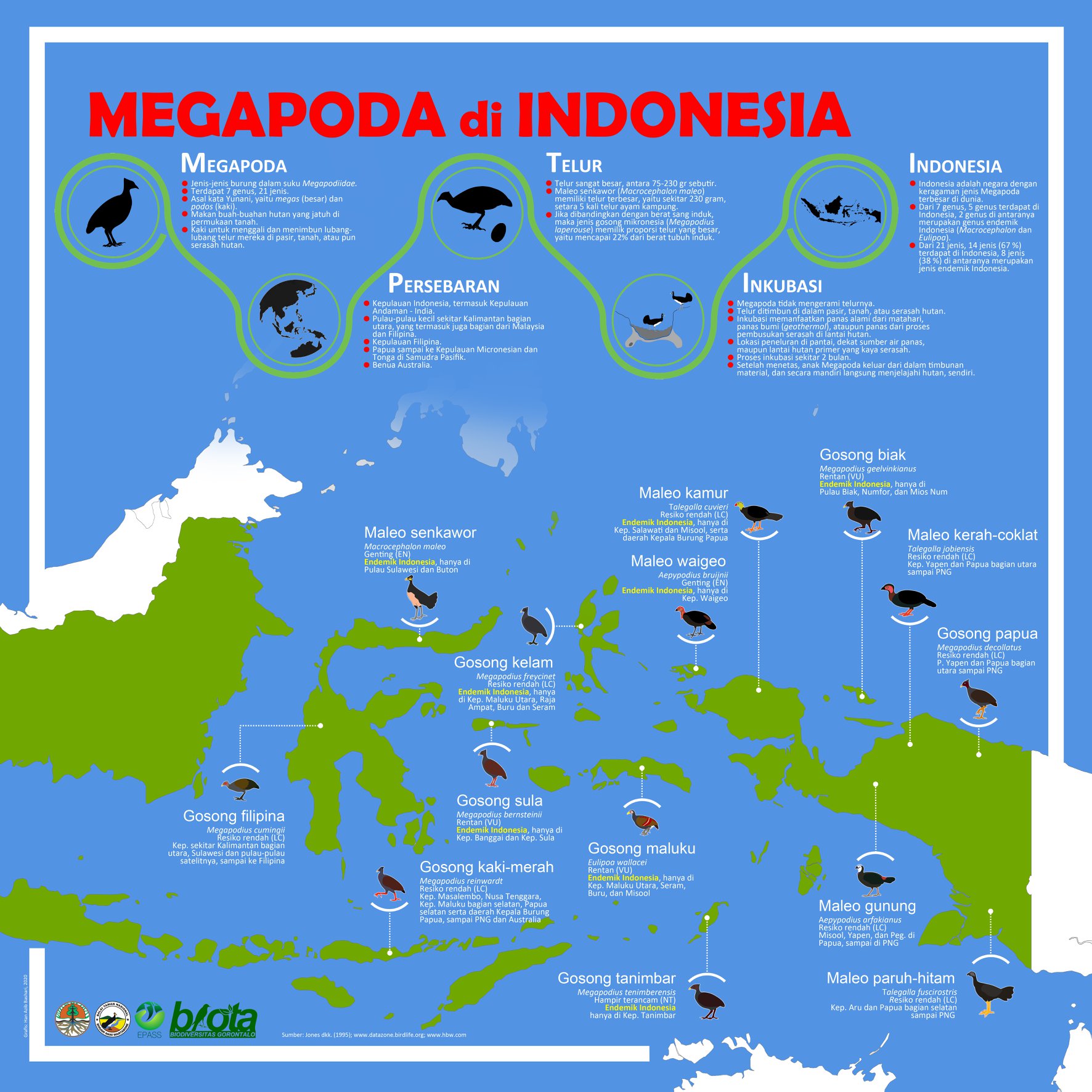 Megapoda